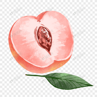 WWW,av765·COM网站APPAPP应用