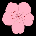 WWW,801se·COM网站APPAPP应用